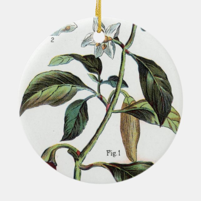 cayenne pepper Flower Ceramic Ornament (Back)