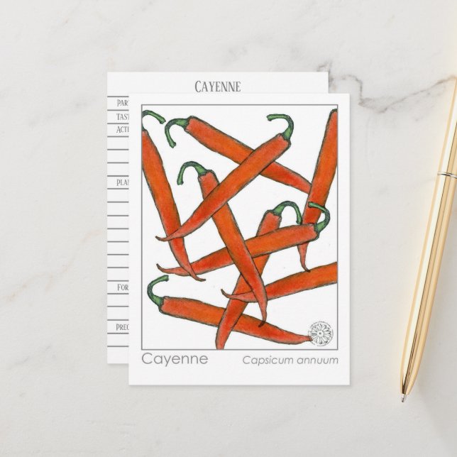 Cayenne Pepper Spice Materia Medica Study Card (Front/Back In Situ)