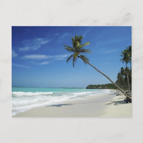 Cayman Island Beach Postcard