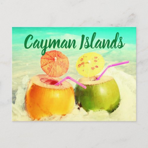 Cayman Islands coconuts Postcard