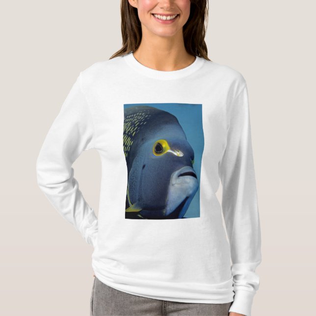 Cayman Islands, French Angelfish Pomacanthus T-Shirt (Front)