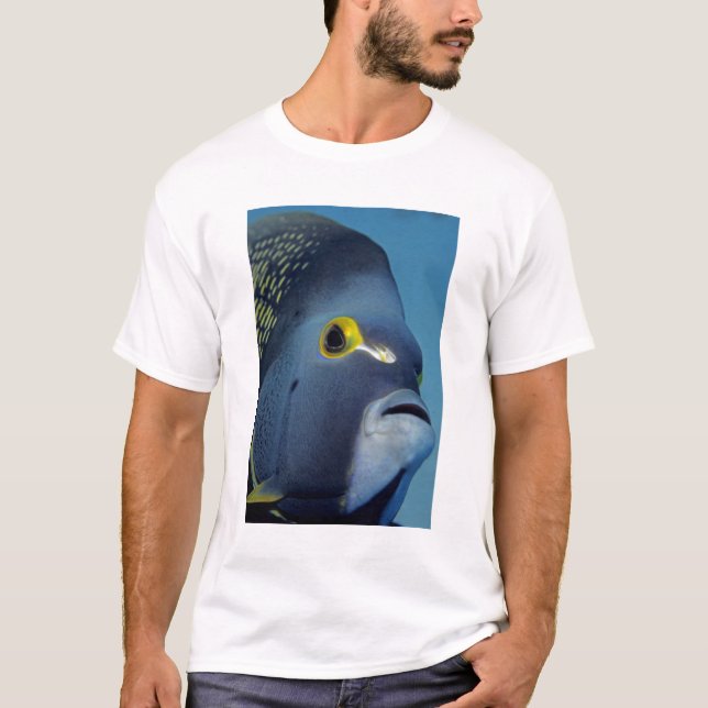 Cayman Islands, French Angelfish Pomacanthus T-Shirt (Front)