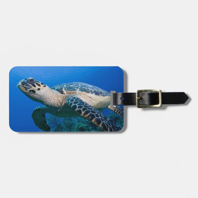 Cayman Islands, Little Cayman Island, Underwater 2 Luggage Tag (Front Horizontal)