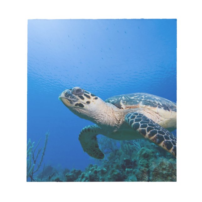 Cayman Islands, Little Cayman Island, Underwater 2 Notepad (Front)