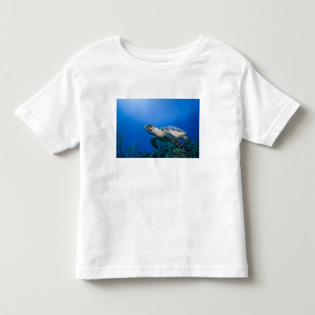 Cayman Islands, Little Cayman Island, Underwater 2 Toddler T-shirt (Front)