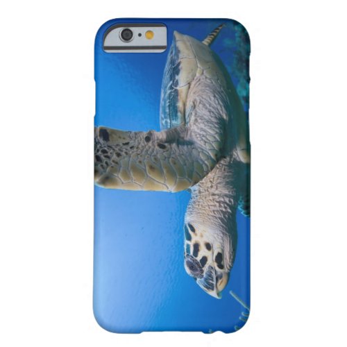 Cayman Islands Little Cayman Island Underwater Barely There iPhone 6 Case