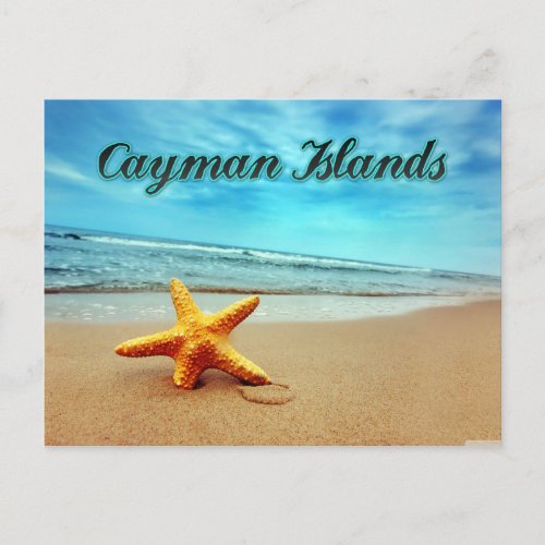 Cayman Islands starfish Postcard