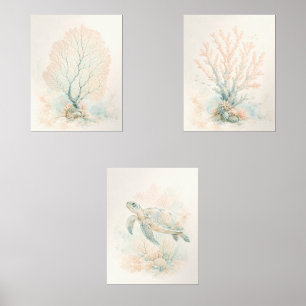 Cayman Reef Coastal Wall Art Set