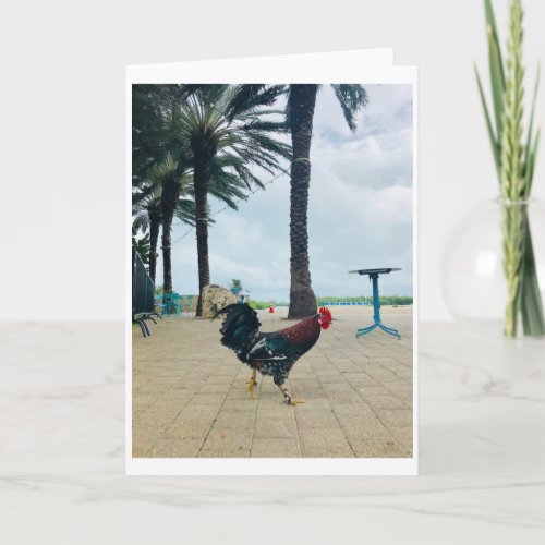 Cayman Rooster Greeting Card