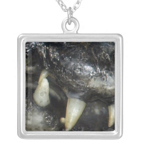 Cayman Teeth Necklace