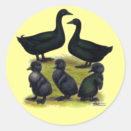 Cayuga Duck Family Classic Round Sticker