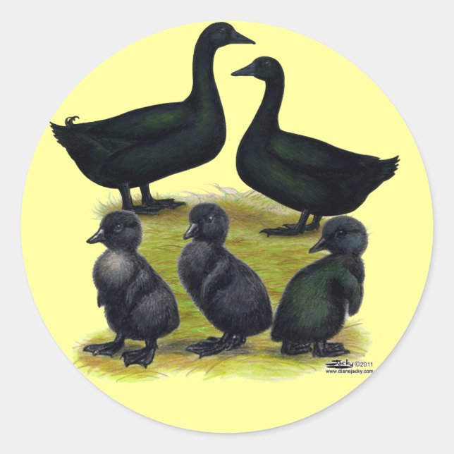 Cayuga Duck Family Classic Round Sticker (Front)