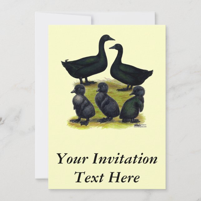 Cayuga Duck Family Invitation (Front)