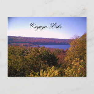 CAYUGA LAKE IN AUTUMN  postcard