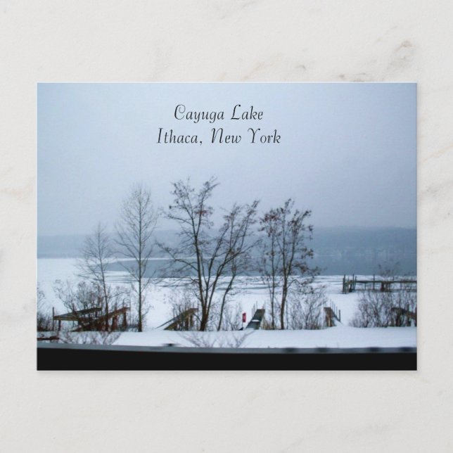 CAYUGA LAKE IN WINTER post card (Front)