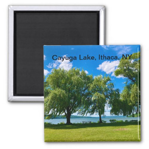 Cayuga Lake Park Magnet