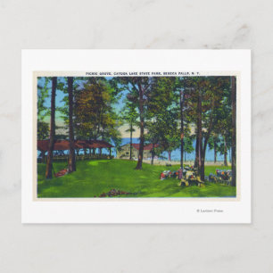 Cayuga Lake State Park Scene Postcard