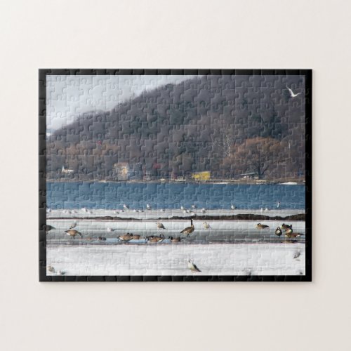 Cayuga Lake Winter Scenic Landscape Jigsaw Puzzle