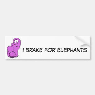 CB- I brake for elephants bumper sticker
