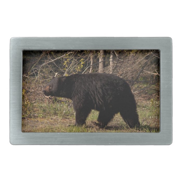 CBB Chubby Black Bear Rectangular Belt Buckle