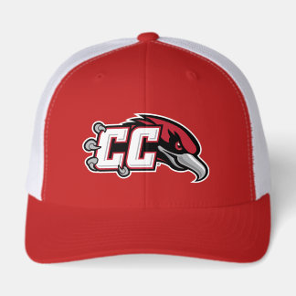 CC Thunderbird Logo