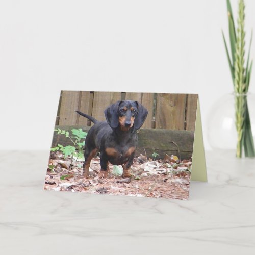 CC _ We miss you dachshund card