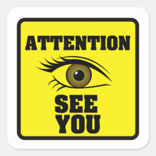 CCTV Symbol NOTICE Vinyl Sticker