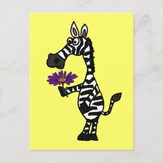 CD- Funny Zebra with Daisy Postcard