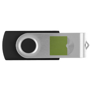 CD or DVD disc Flash Drive