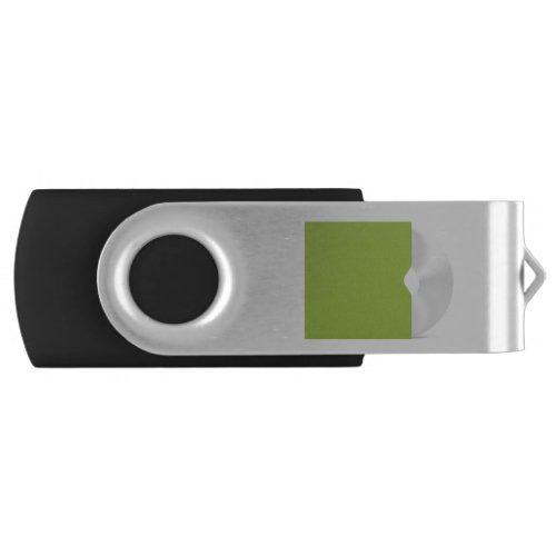 CD or DVD disc Flash Drive