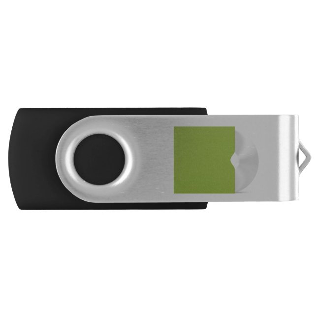 CD or DVD disc Flash Drive (Front)