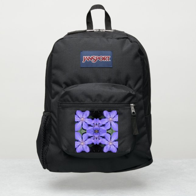 Césarine JanSport Backpack (Front)