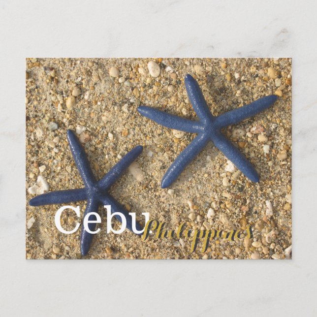 Cebu Philippines Blue Starfish Postcard (Front)