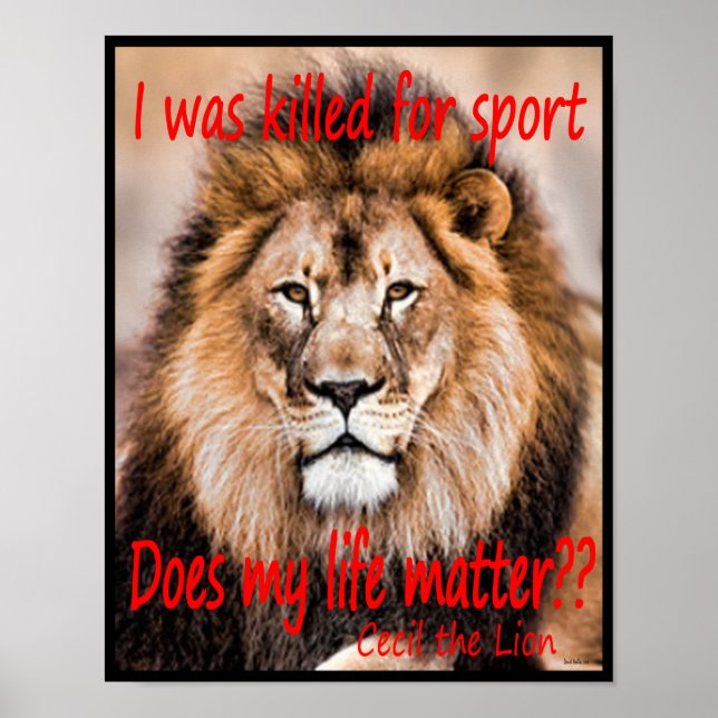 Cecil the Lion - I was killed for sport Poster (Front)
