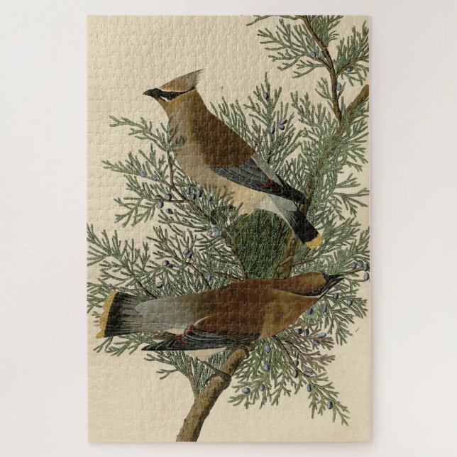 Cedar Bird, Cedar Waxwing Audubon Birds of America Jigsaw Puzzle (Vertical)