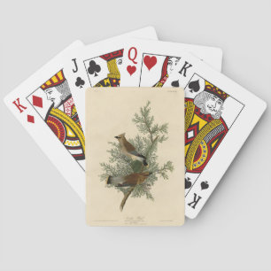 Cedar Bird, Cedar Waxwing Audubon Birds of America Poker Cards