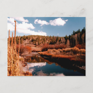 Cedar Breaks National Area, Utah Postcard