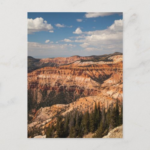 Cedar Breaks National Monument Utah Postcard