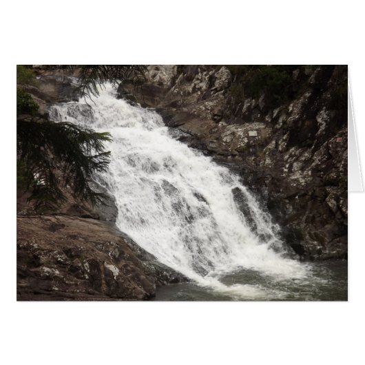 Cedar Creek Falls Cards (Front Horizontal)
