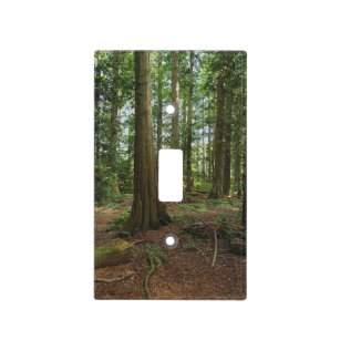 Cedar Forest Tree-lovers Nature Photo Light Switch Cover