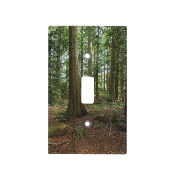 Cedar Forest Tree-lovers Nature Photo Light Switch Cover by RavenSpiritPrints at Zazzle