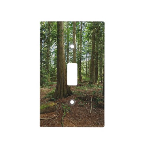 Cedar Forest Tree_lovers Nature Photo Light Switch Cover