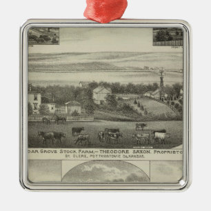 Cedar Grove Stock Farm and Roberts Ranch, Kansas Metal Ornament