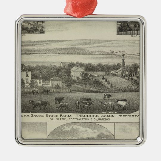 Cedar Grove Stock Farm and Roberts Ranch, Kansas Metal Ornament