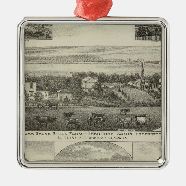 Cedar Grove Stock Farm and Roberts Ranch, Kansas Metal Ornament (Front)
