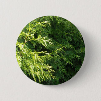 Cedar Hedge Pinback Button