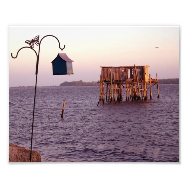 Cedar Key Bird Feeder Photo Print (Front)