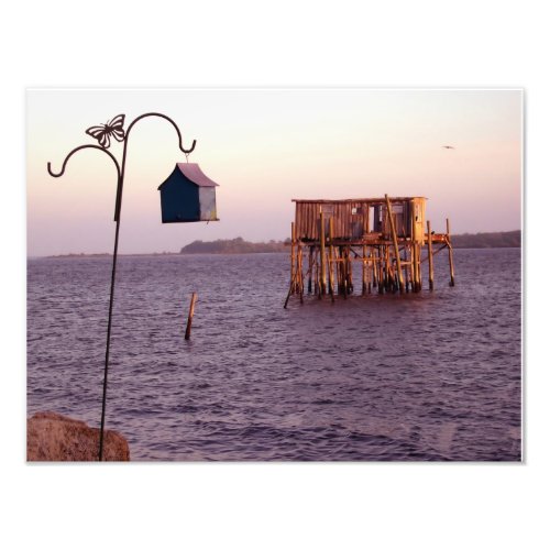 Cedar Key Bird Feeder Photo Print