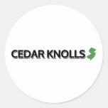 Cedar Knolls, New Jersey Classic Round Sticker