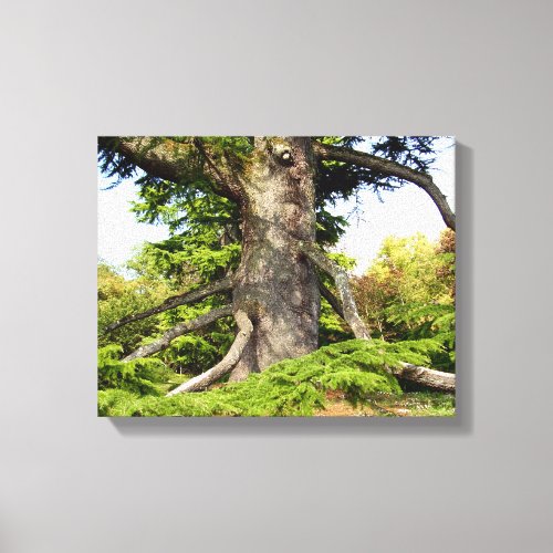 Cedar_of_Lebanon Tree Canvas Print